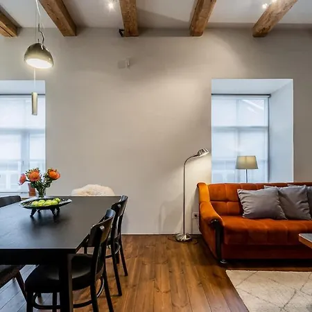 Domillion 1bdr Unique And Warm Old Town Tr41 Вильнюс