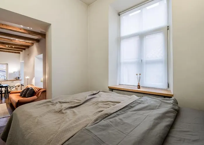 Apartman Domillion 1bdr Unique And Warm Old Town Tr41 *