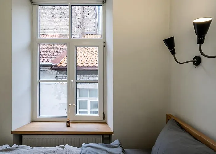 Apartman Domillion 1bdr Unique And Warm Old Town Tr41 Vilnius