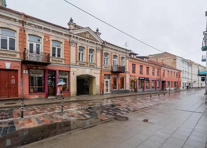 Domillion 1bdr Unique And Warm Old Town Tr41 Βίλνιους