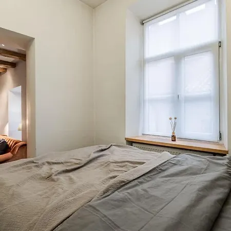 Appartement Domillion 1bdr Unique And Warm Old Town Tr41 *