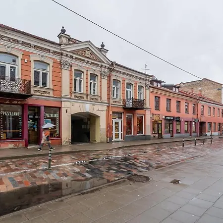 Domillion 1bdr Unique And Warm Old Town Tr41 Vilnius
